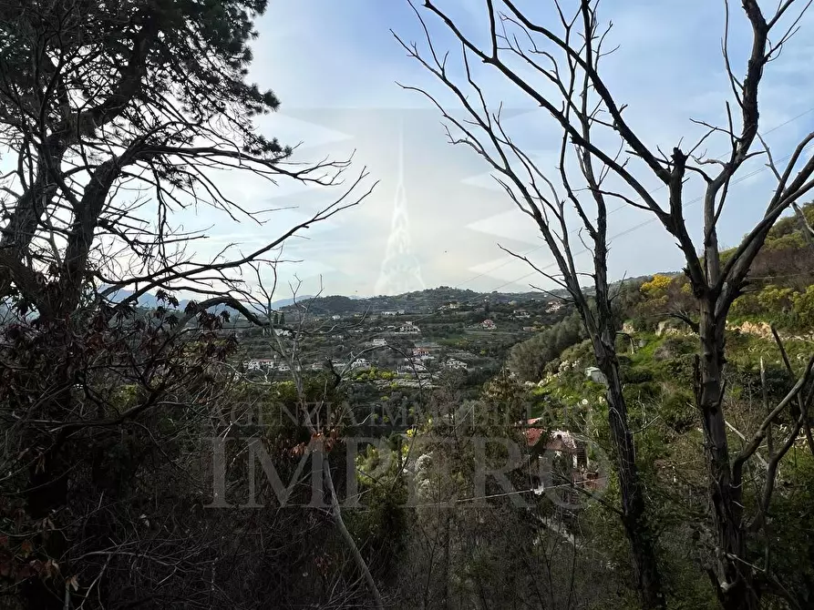 Immagine 13 di Rustico / casale in vendita  in Strada Gardiora a Bordighera