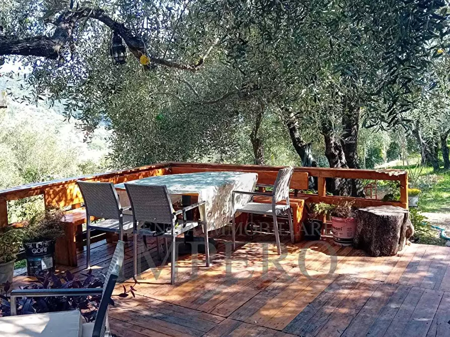 Immagine 2 di Terreno agricolo in vendita  in Via Monsignore Daffra 40 a Ventimiglia