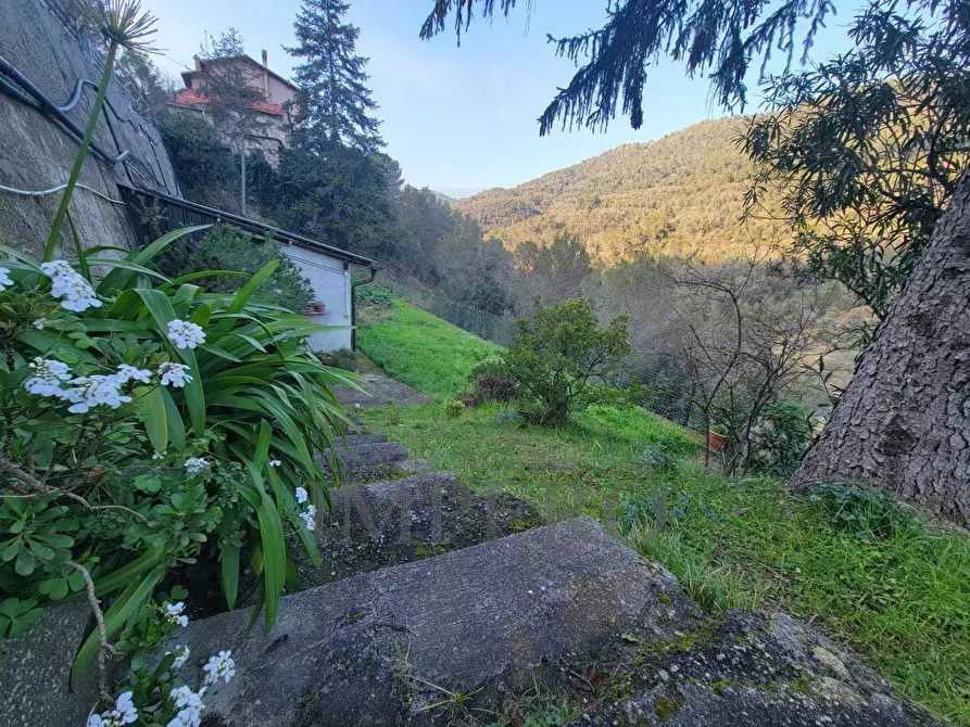 Immagine 36 di Porzione di casa in vendita  in Via Ginestrea 29 a Olivetta San Michele