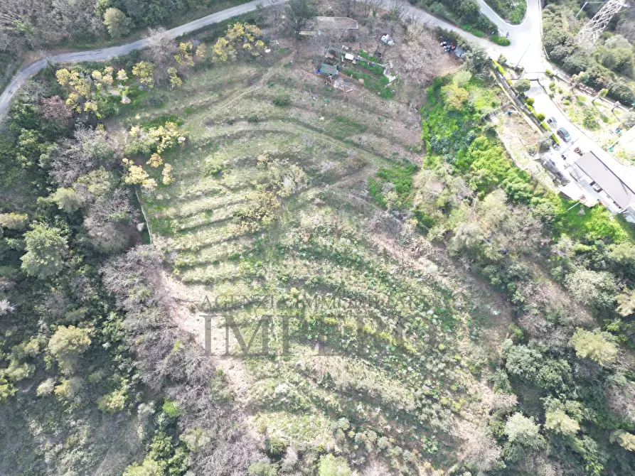 Immagine 11 di Terreno agricolo in vendita  in Regione Magauda 36 a Camporosso