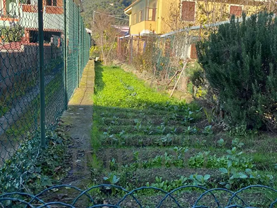 Immagine 15 di Porzione di casa in vendita  in Via Giacomo Puccini 71 a Camporosso