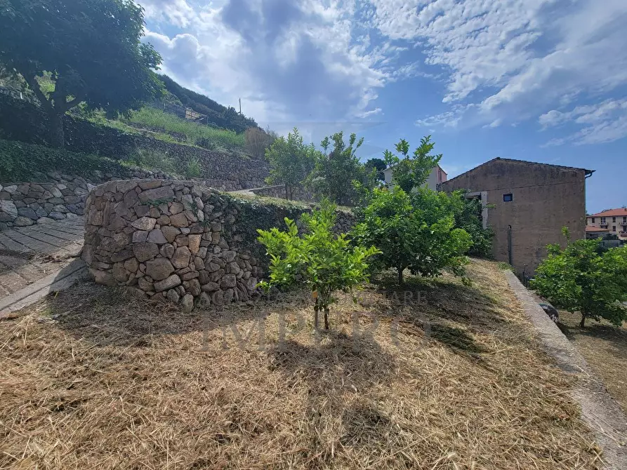 Immagine 5 di Terreno agricolo in vendita  in Via Anacleto Hughes 22/A a Ventimiglia