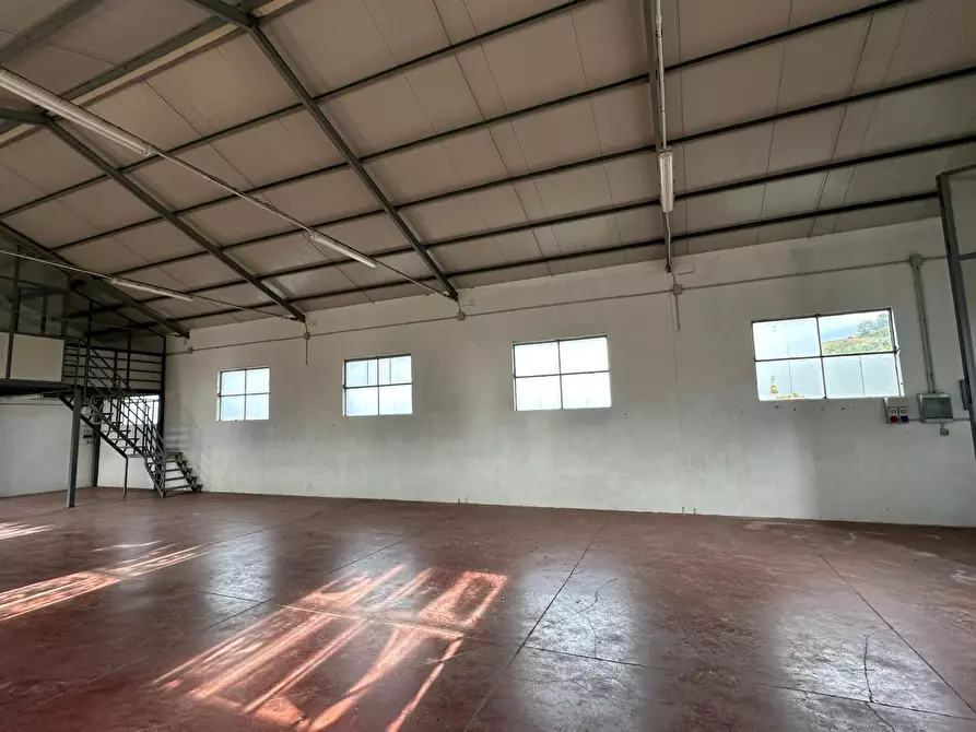 Immagine 5 di Attività artigianale in affitto  in Viale Maiella 23/A a Casacanditella