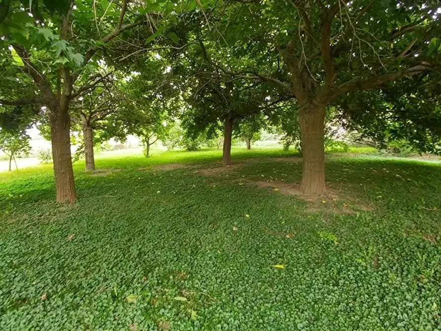 Immagine 4 di Villa in vendita  in Stradello Giovanardi 95 a Modena