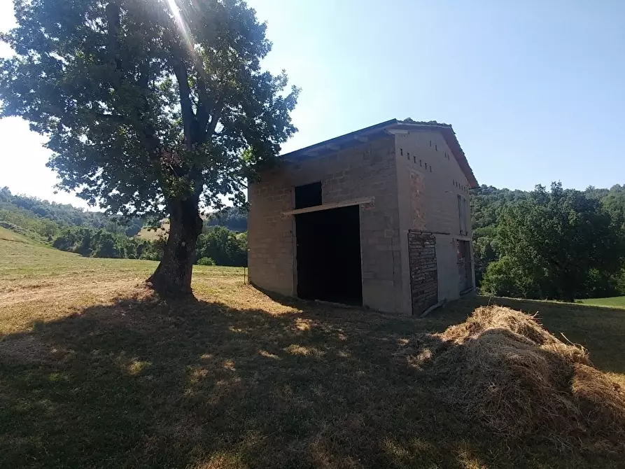 Immagine 8 di Rustico / casale in vendita  in Via Calizzano 803 a Zocca
