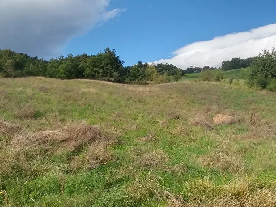 Immagine 43 di Rustico / casale in vendita  in via Selve 3205 a Zocca