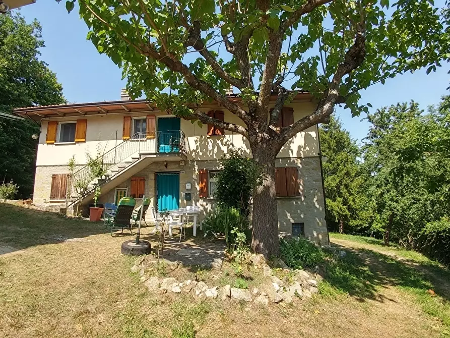 Immagine 20 di Bilocale in vendita  in Via Nicolai 1905 a Guiglia