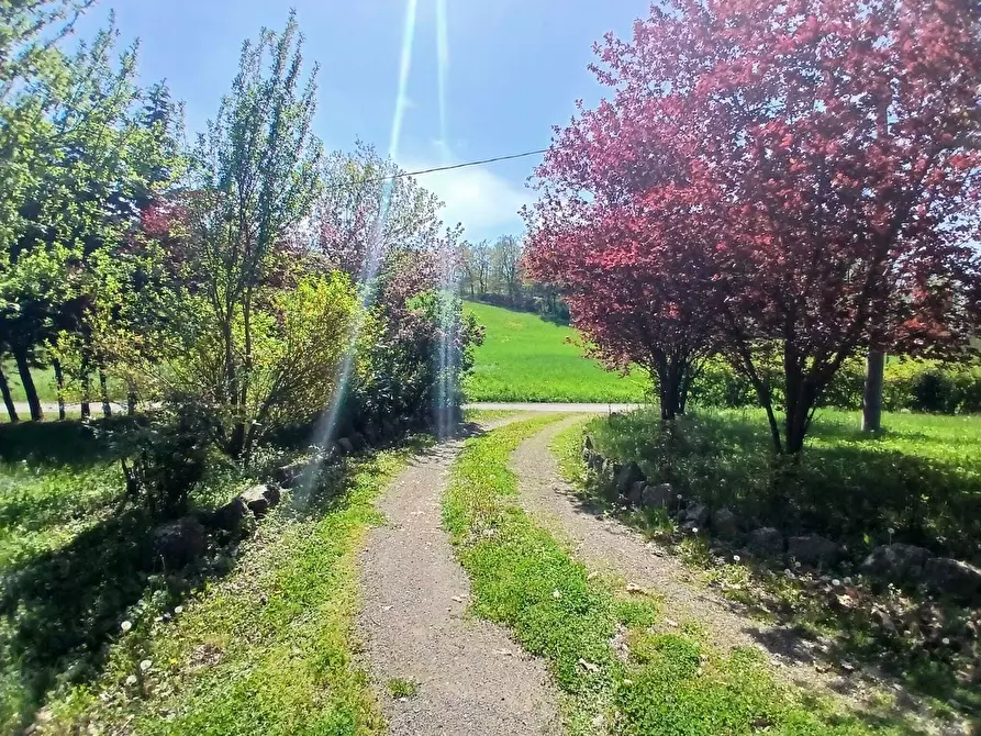Immagine 35 di Rustico / casale in vendita  in Via Forca 1256 A a Valsamoggia