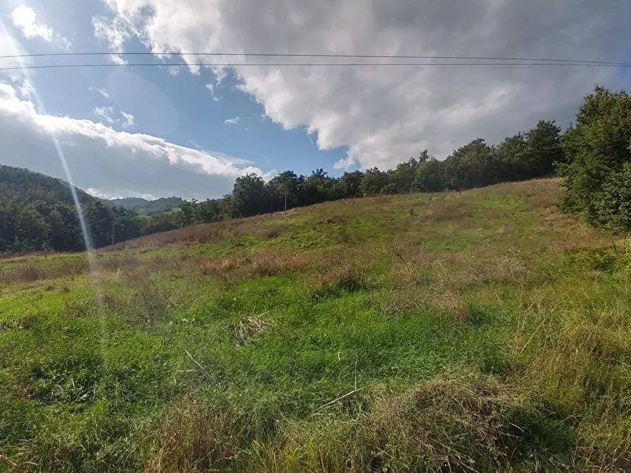 Immagine 31 di Rustico / casale in vendita  in via Selve 3205 a Zocca