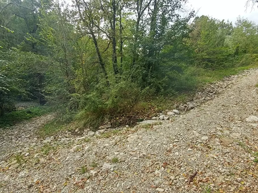 Immagine 26 di Rustico / casale in vendita  in via Selve 3205 a Zocca