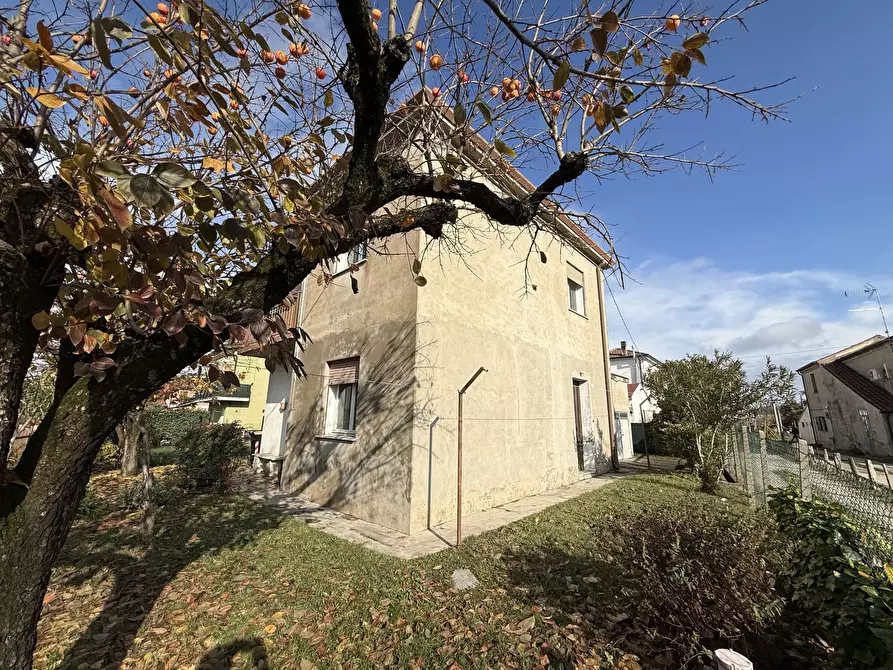 Immagine 3 di Casa indipendente in vendita  a Rovigo