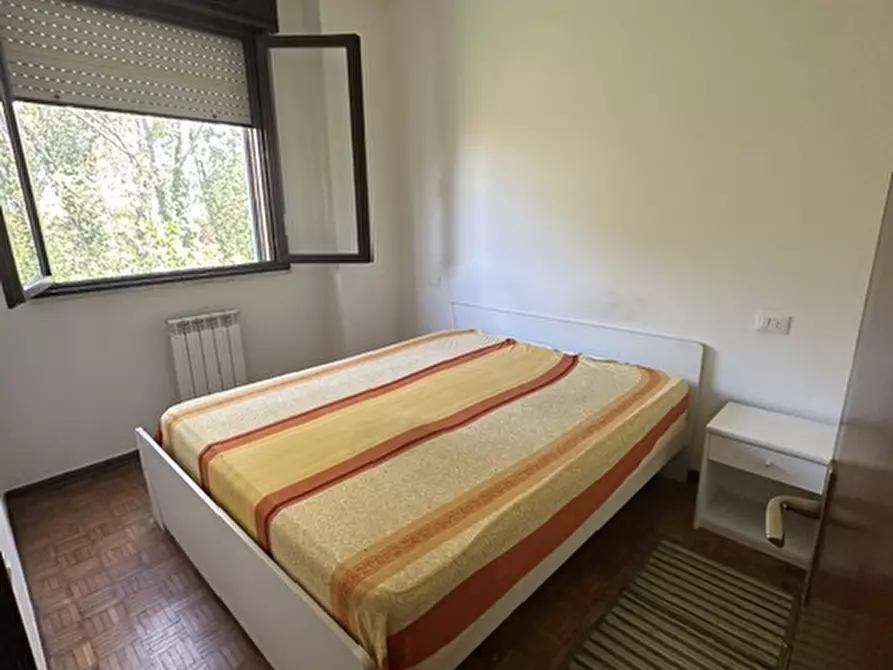 Immagine 4 di Bilocale in affitto  a Rovigo