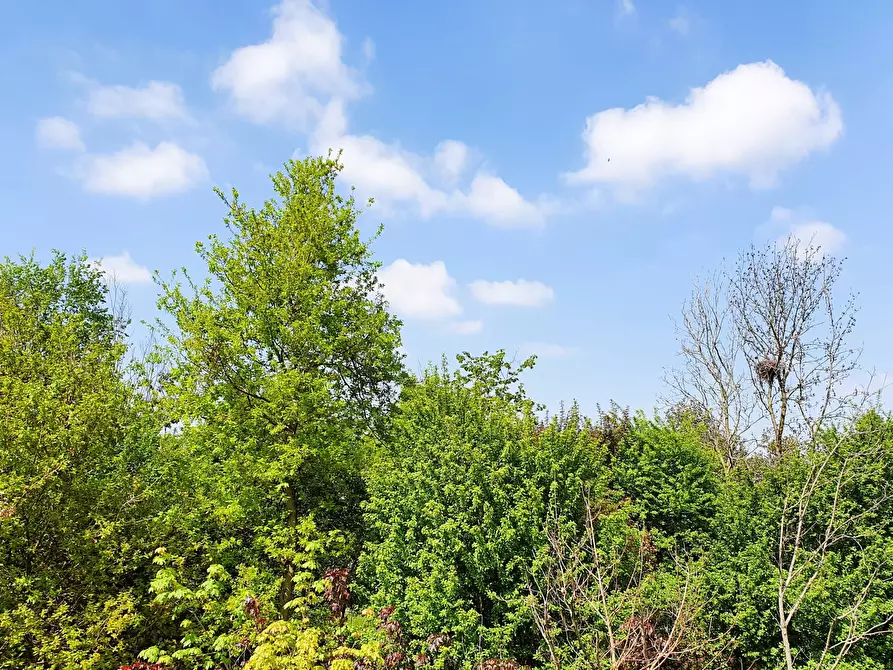 Immagine 3 di Quadrilocale in vendita  in MONTE NETTO a Poncarale