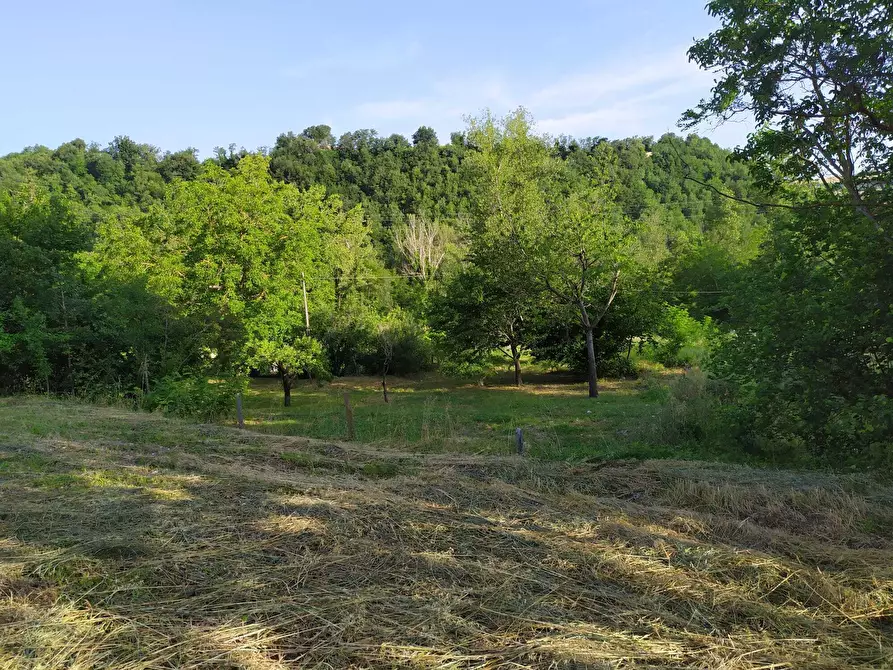 Immagine 42 di Rustico / casale in vendita  in SP258 2 a Pennabilli