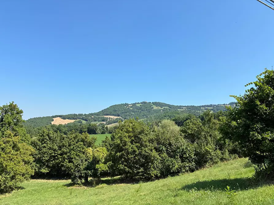 Immagine 3 di Terreno agricolo in vendita  in Località Antico Alto 48 a Maiolo