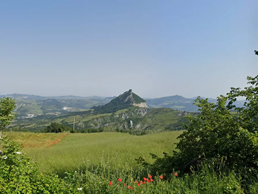 Immagine 7 di Terreno agricolo in vendita  in Via Ca' di Gallo 86 a Maiolo