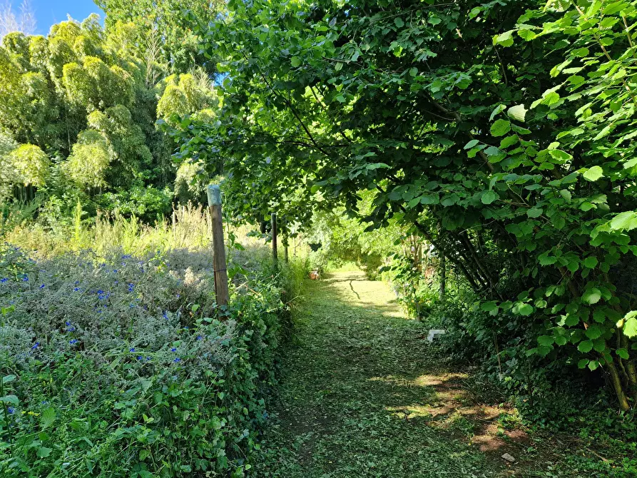 Immagine 10 di Terreno agricolo in vendita  in Via Giovanni Fattori a San Giuliano Terme