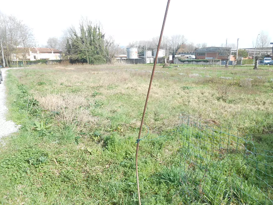 Immagine 13 di Terreno agricolo in vendita  in Via San Donato 925/A a Lucca