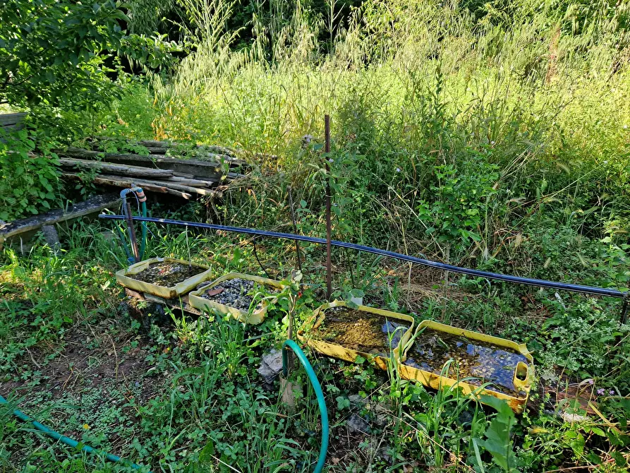 Immagine 12 di Terreno agricolo in vendita  in Via Giovanni Fattori a San Giuliano Terme
