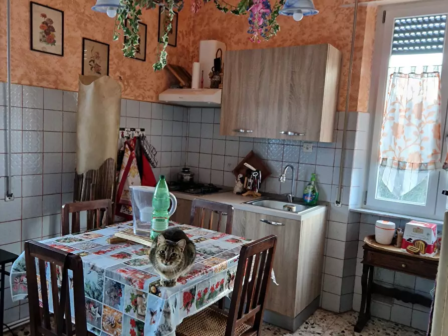 Immagine 4 di Pentalocale in vendita  in Via Fregionaia a Lucca