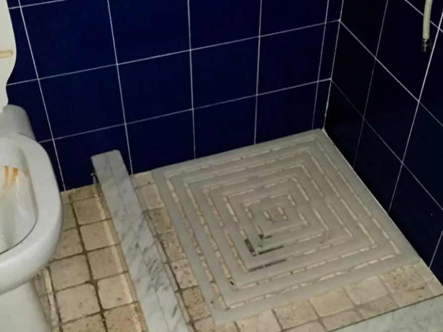 Immagine 9 di Bar / Ristorante in vendita  a Viareggio