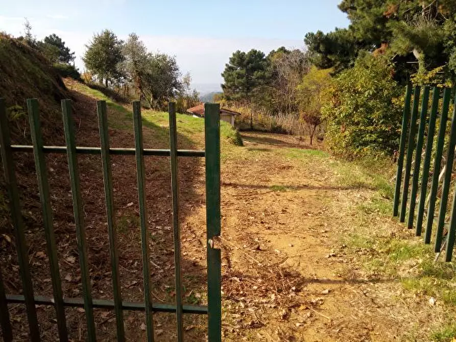 Immagine 25 di Terreno agricolo in vendita  in via di caroggia a Lucca