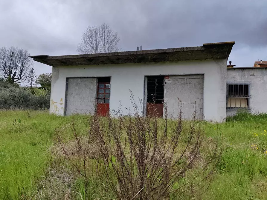 Immagine 4 di Rustico / casale in vendita  in Via Vicinale dello Stecchino a Lucca