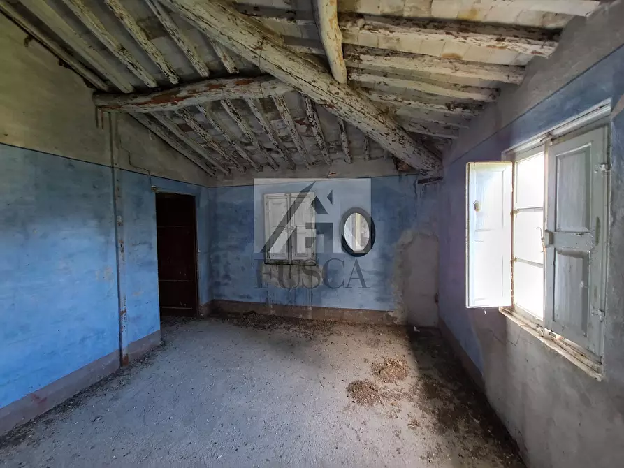 Immagine 18 di Rustico / casale in vendita  in Traversa V Via della Pieve Santo Stefano a Lucca