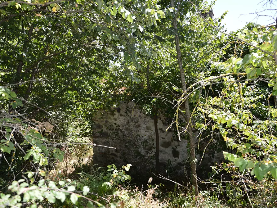 Immagine 9 di Rustico / casale in vendita  in Traversa V Via della Pieve Santo Stefano a Lucca