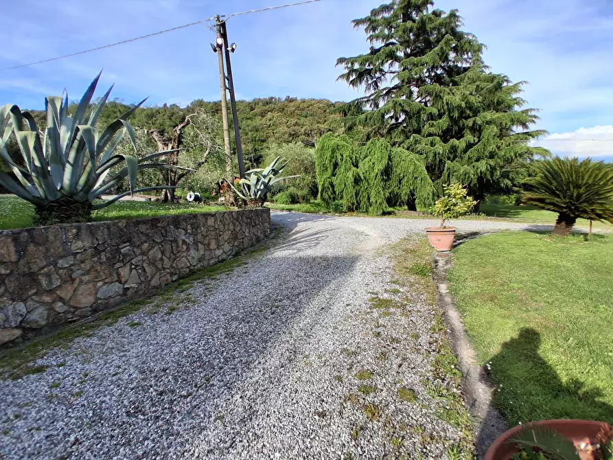 Immagine 13 di Villa in vendita  in via vecchia i a Lucca