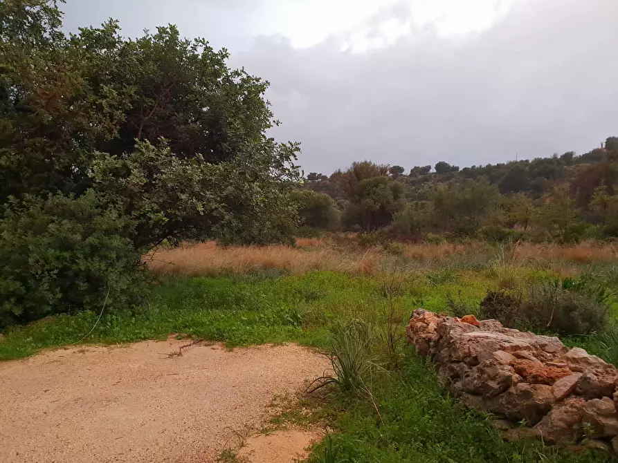 Immagine 3 di Terreno agricolo in vendita  a Siracusa