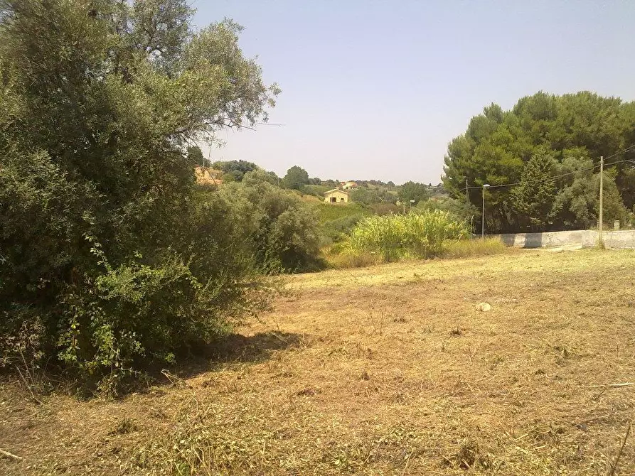 Immagine 7 di Terreno agricolo in vendita  a Siracusa