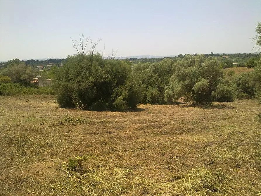 Immagine 8 di Terreno agricolo in vendita  a Siracusa