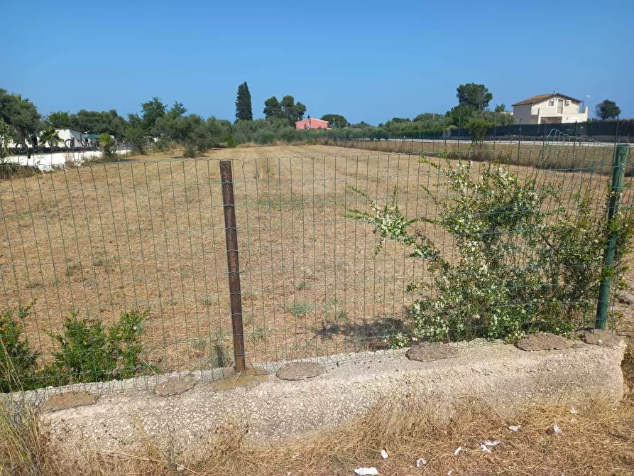 Immagine 3 di Terreno agricolo in vendita  a Siracusa