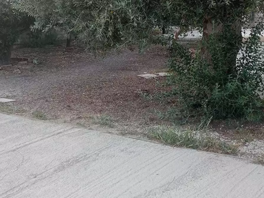 Immagine 10 di Villa in affitto  a Siracusa