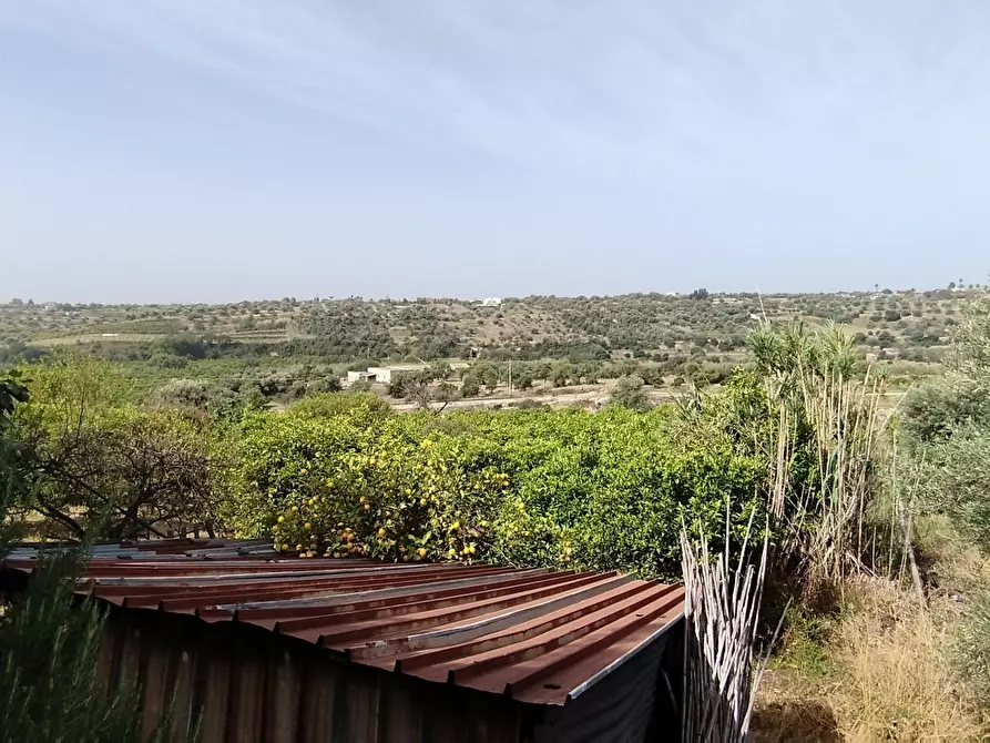 Immagine 7 di Terreno agricolo in vendita  a Siracusa