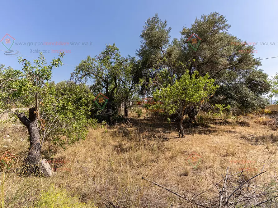 Immagine 3 di Rustico / casale in vendita  a Priolo Gargallo