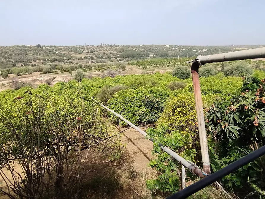 Immagine 5 di Terreno agricolo in vendita  a Siracusa
