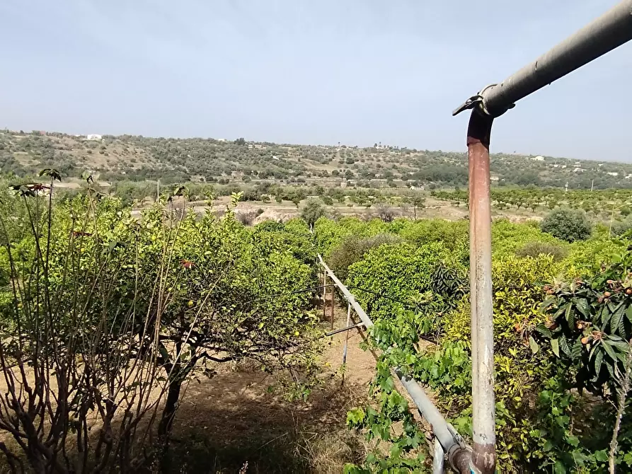 Immagine 2 di Terreno agricolo in vendita  a Siracusa