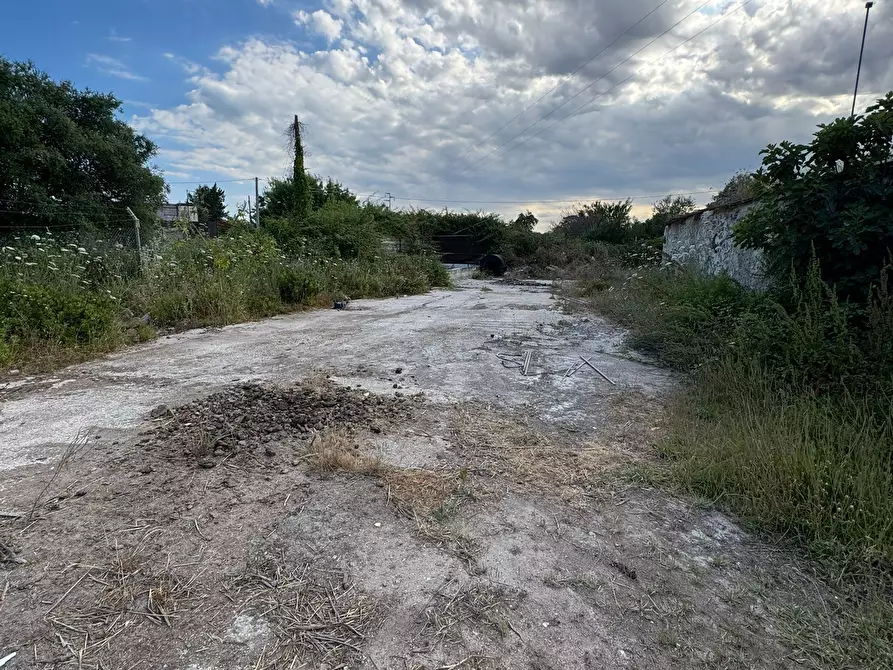 Immagine 5 di Attività artigianale in affitto  a Siracusa