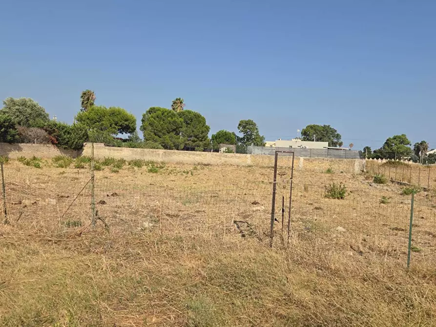 Immagine 5 di Terreno agricolo in vendita  a Siracusa