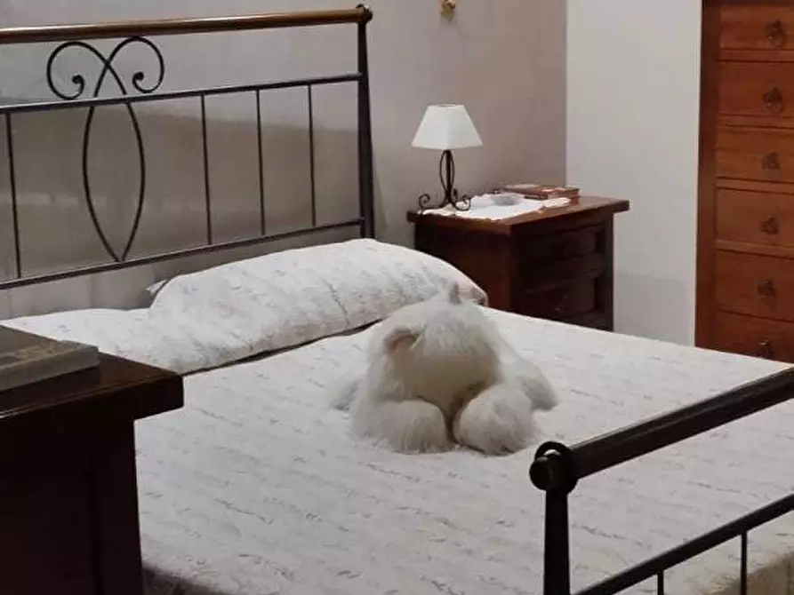 Immagine 6 di Casa indipendente in vendita  a Siracusa