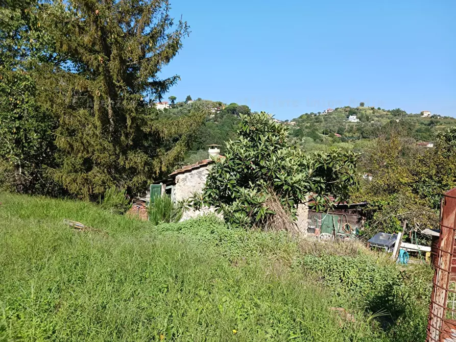 Immagine 14 di Rustico / casale in vendita  a Arcola