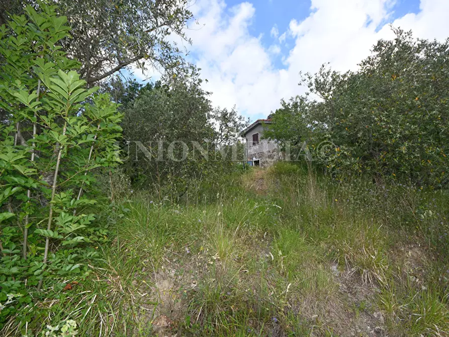 Immagine 5 di Rustico / casale in vendita  in Via Carignano a Fosdinovo