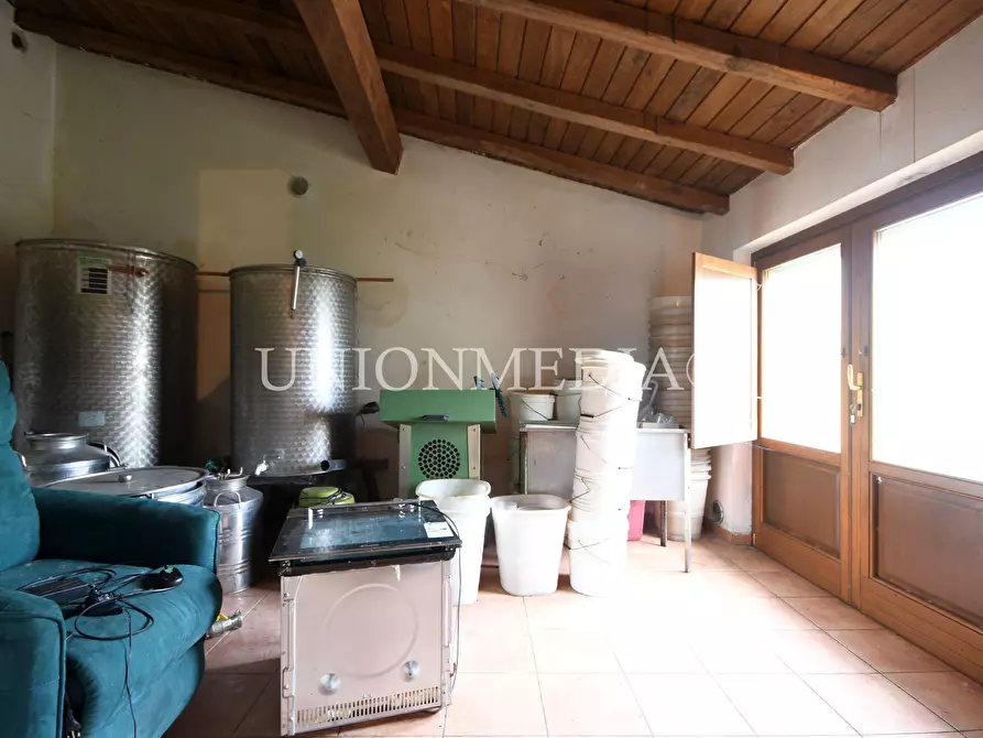 Immagine 26 di Casa indipendente in vendita  in via canepari a Fosdinovo