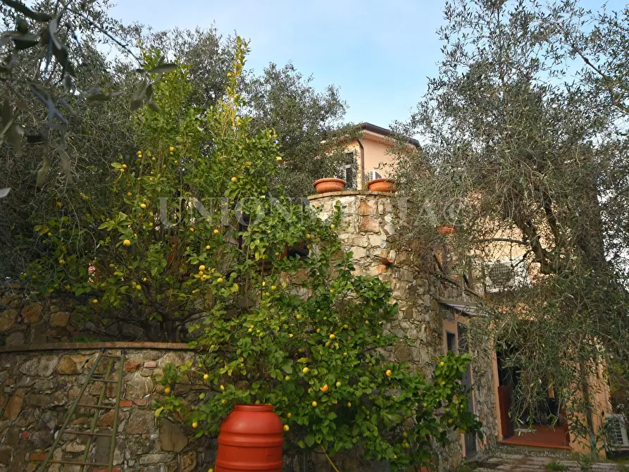 Immagine 8 di Villa in vendita  in Via caniparola a Fosdinovo