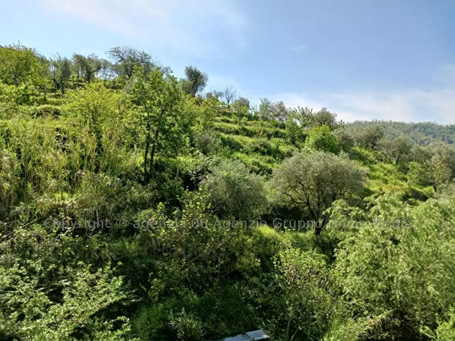 Immagine 6 di Terreno edificabile in vendita  a Arcola