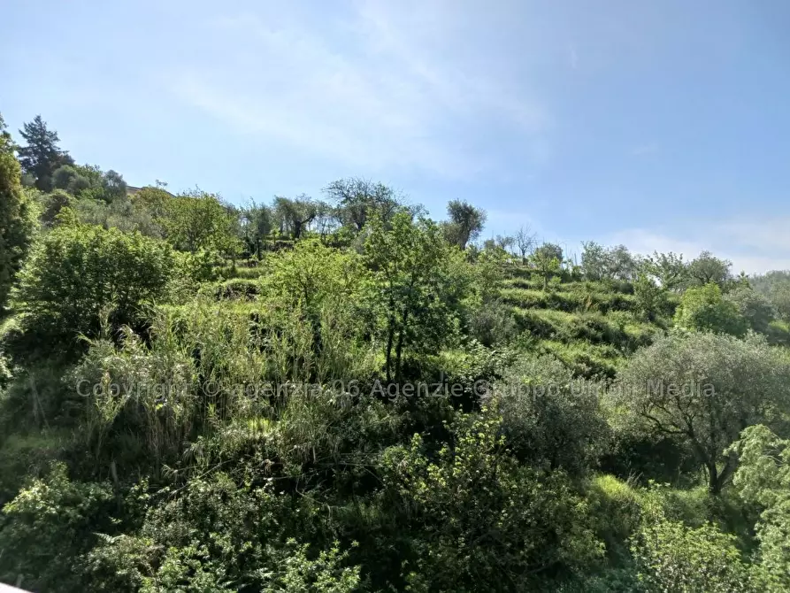 Immagine 7 di Terreno edificabile in vendita  a Arcola