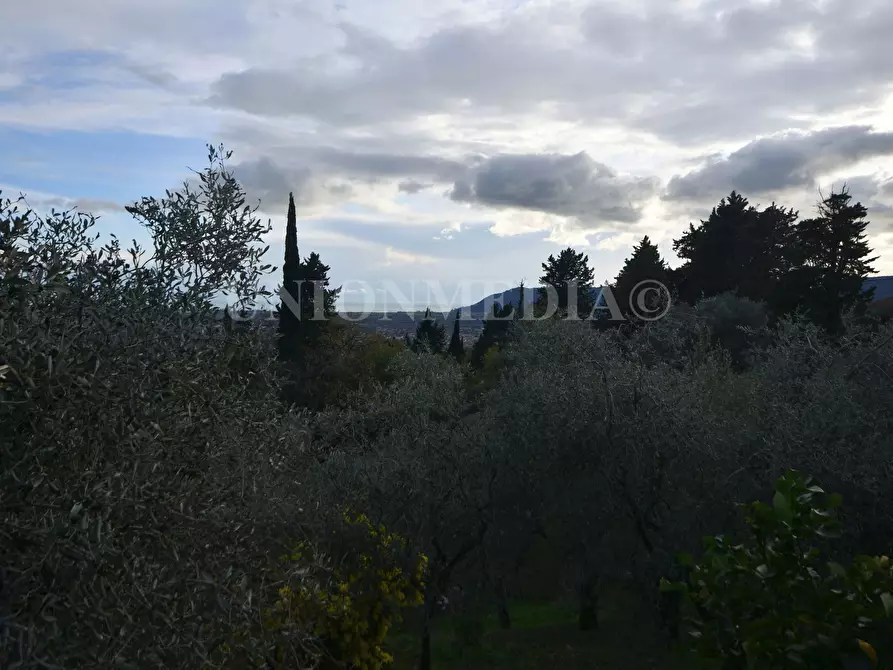 Immagine 4 di Villa in vendita  in Via caniparola a Fosdinovo