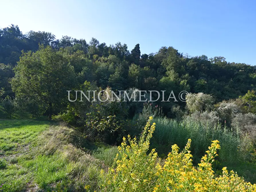 Immagine 36 di Casa indipendente in vendita  in Via boccognano a Fosdinovo